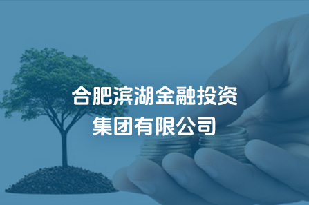 合肥w66国际app金融投资集团有限公司