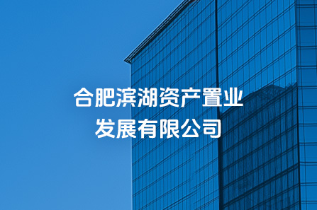 合肥w66国际app资产置业生长有限公司
