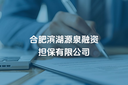 合肥w66国际app源泉融资担保有限公司