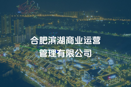 合肥w66国际app商业运营治理有限公司