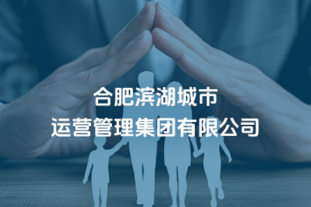 合肥w66国际app都会运营治理集团有限公司