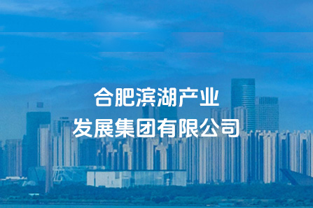 合肥w66国际app工业生长集团有限公司